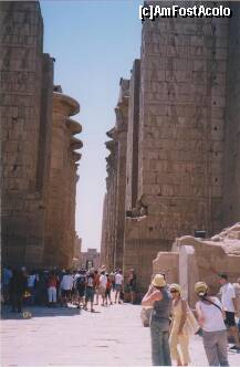 [P12] Asa se fac banii - cu sute de turisti vizitand templul Karnak, pe o temperatura de peste 40 grade » foto by presario
 - 
<span class="allrVoted glyphicon glyphicon-heart hidden" id="av136134"></span>
<a class="m-l-10 hidden" id="sv136134" onclick="voting_Foto_DelVot(,136134,3529)" role="button">șterge vot <span class="glyphicon glyphicon-remove"></span></a>
<a id="v9136134" class=" c-red"  onclick="voting_Foto_SetVot(136134)" role="button"><span class="glyphicon glyphicon-heart-empty"></span> <b>LIKE</b> = Votează poza</a> <img class="hidden"  id="f136134W9" src="/imagini/loader.gif" border="0" /><span class="AjErrMes hidden" id="e136134ErM"></span>