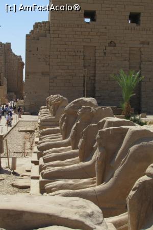 [P05]  -- <small>// FĂRĂ DESCRIERE</small> » foto by barzoica*
 - 
<span class="allrVoted glyphicon glyphicon-heart hidden" id="av1004067"></span>
<a class="m-l-10 hidden" id="sv1004067" onclick="voting_Foto_DelVot(,1004067,3529)" role="button">șterge vot <span class="glyphicon glyphicon-remove"></span></a>
<a id="v91004067" class=" c-red"  onclick="voting_Foto_SetVot(1004067)" role="button"><span class="glyphicon glyphicon-heart-empty"></span> <b>LIKE</b> = Votează poza</a> <img class="hidden"  id="f1004067W9" src="/imagini/loader.gif" border="0" /><span class="AjErrMes hidden" id="e1004067ErM"></span>