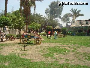 [P17] O fotografie de unde am luat masa in Cairo.  » foto by Giorgios
 - 
<span class="allrVoted glyphicon glyphicon-heart hidden" id="av682877"></span>
<a class="m-l-10 hidden" id="sv682877" onclick="voting_Foto_DelVot(,682877,3529)" role="button">șterge vot <span class="glyphicon glyphicon-remove"></span></a>
<a id="v9682877" class=" c-red"  onclick="voting_Foto_SetVot(682877)" role="button"><span class="glyphicon glyphicon-heart-empty"></span> <b>LIKE</b> = Votează poza</a> <img class="hidden"  id="f682877W9" src="/imagini/loader.gif" border="0" /><span class="AjErrMes hidden" id="e682877ErM"></span>