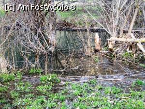 [P22] Detaliu din lacul mare făcut de castori aval de Băile Fântâna Sărată (pârâul Drumul Carelor, depresiunea Cașin)  » foto by Lucien
 - 
<span class="allrVoted glyphicon glyphicon-heart hidden" id="av807592"></span>
<a class="m-l-10 hidden" id="sv807592" onclick="voting_Foto_DelVot(,807592,3541)" role="button">șterge vot <span class="glyphicon glyphicon-remove"></span></a>
<a id="v9807592" class=" c-red"  onclick="voting_Foto_SetVot(807592)" role="button"><span class="glyphicon glyphicon-heart-empty"></span> <b>LIKE</b> = Votează poza</a> <img class="hidden"  id="f807592W9" src="/imagini/loader.gif" border="0" /><span class="AjErrMes hidden" id="e807592ErM"></span>