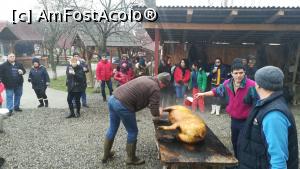 [P11]  -- <small>// FĂRĂ DESCRIERE</small> » foto by Claudia1
 - 
<span class="allrVoted glyphicon glyphicon-heart hidden" id="av934951"></span>
<a class="m-l-10 hidden" id="sv934951" onclick="voting_Foto_DelVot(,934951,3542)" role="button">șterge vot <span class="glyphicon glyphicon-remove"></span></a>
<a id="v9934951" class=" c-red"  onclick="voting_Foto_SetVot(934951)" role="button"><span class="glyphicon glyphicon-heart-empty"></span> <b>LIKE</b> = Votează poza</a> <img class="hidden"  id="f934951W9" src="/imagini/loader.gif" border="0" /><span class="AjErrMes hidden" id="e934951ErM"></span>