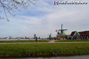 [P06] Zaanse Schans - » foto by makuy*
 - 
<span class="allrVoted glyphicon glyphicon-heart hidden" id="av623088"></span>
<a class="m-l-10 hidden" id="sv623088" onclick="voting_Foto_DelVot(,623088,3710)" role="button">șterge vot <span class="glyphicon glyphicon-remove"></span></a>
<a id="v9623088" class=" c-red"  onclick="voting_Foto_SetVot(623088)" role="button"><span class="glyphicon glyphicon-heart-empty"></span> <b>LIKE</b> = Votează poza</a> <img class="hidden"  id="f623088W9" src="/imagini/loader.gif" border="0" /><span class="AjErrMes hidden" id="e623088ErM"></span>