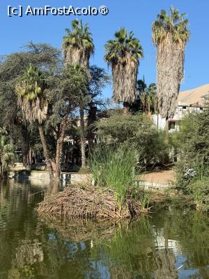 [P21] Deșertul Huacachina » foto by adso
 - 
<span class="allrVoted glyphicon glyphicon-heart hidden" id="av1540548"></span>
<a class="m-l-10 hidden" id="sv1540548" onclick="voting_Foto_DelVot(,1540548,3739)" role="button">șterge vot <span class="glyphicon glyphicon-remove"></span></a>
<a id="v91540548" class=" c-red"  onclick="voting_Foto_SetVot(1540548)" role="button"><span class="glyphicon glyphicon-heart-empty"></span> <b>LIKE</b> = Votează poza</a> <img class="hidden"  id="f1540548W9" src="/imagini/loader.gif" border="0" /><span class="AjErrMes hidden" id="e1540548ErM"></span>