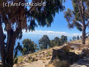[P47] Lacul Titicaca » foto by adso
 - 
<span class="allrVoted glyphicon glyphicon-heart hidden" id="av1540574"></span>
<a class="m-l-10 hidden" id="sv1540574" onclick="voting_Foto_DelVot(,1540574,3739)" role="button">șterge vot <span class="glyphicon glyphicon-remove"></span></a>
<a id="v91540574" class=" c-red"  onclick="voting_Foto_SetVot(1540574)" role="button"><span class="glyphicon glyphicon-heart-empty"></span> <b>LIKE</b> = Votează poza</a> <img class="hidden"  id="f1540574W9" src="/imagini/loader.gif" border="0" /><span class="AjErrMes hidden" id="e1540574ErM"></span>