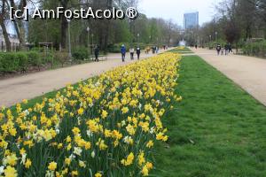 [P07] Bruxelles, Parc de Bruxelles, Alei și flori de primăvară, narcise și ghiocei galbeni » foto by mprofeanu
 - 
<span class="allrVoted glyphicon glyphicon-heart hidden" id="av1454108"></span>
<a class="m-l-10 hidden" id="sv1454108" onclick="voting_Foto_DelVot(,1454108,3768)" role="button">șterge vot <span class="glyphicon glyphicon-remove"></span></a>
<a id="v91454108" class=" c-red"  onclick="voting_Foto_SetVot(1454108)" role="button"><span class="glyphicon glyphicon-heart-empty"></span> <b>LIKE</b> = Votează poza</a> <img class="hidden"  id="f1454108W9" src="/imagini/loader.gif" border="0" /><span class="AjErrMes hidden" id="e1454108ErM"></span>