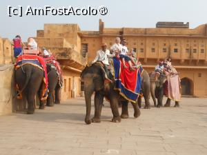 [P15] India - Turiști fericiți după ce au urcat la fort călare pe elefant. » foto by iulianic
 - 
<span class="allrVoted glyphicon glyphicon-heart hidden" id="av1461769"></span>
<a class="m-l-10 hidden" id="sv1461769" onclick="voting_Foto_DelVot(,1461769,3794)" role="button">șterge vot <span class="glyphicon glyphicon-remove"></span></a>
<a id="v91461769" class=" c-red"  onclick="voting_Foto_SetVot(1461769)" role="button"><span class="glyphicon glyphicon-heart-empty"></span> <b>LIKE</b> = Votează poza</a> <img class="hidden"  id="f1461769W9" src="/imagini/loader.gif" border="0" /><span class="AjErrMes hidden" id="e1461769ErM"></span>