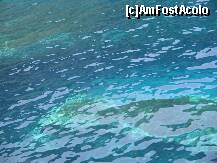 [P24] nuante » foto by dianabzs
 - 
<span class="allrVoted glyphicon glyphicon-heart hidden" id="av159707"></span>
<a class="m-l-10 hidden" id="sv159707" onclick="voting_Foto_DelVot(,159707,3807)" role="button">șterge vot <span class="glyphicon glyphicon-remove"></span></a>
<a id="v9159707" class=" c-red"  onclick="voting_Foto_SetVot(159707)" role="button"><span class="glyphicon glyphicon-heart-empty"></span> <b>LIKE</b> = Votează poza</a> <img class="hidden"  id="f159707W9" src="/imagini/loader.gif" border="0" /><span class="AjErrMes hidden" id="e159707ErM"></span>