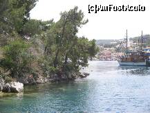 [P40] gaios » foto by dianabzs
 - 
<span class="allrVoted glyphicon glyphicon-heart hidden" id="av159731"></span>
<a class="m-l-10 hidden" id="sv159731" onclick="voting_Foto_DelVot(,159731,3807)" role="button">șterge vot <span class="glyphicon glyphicon-remove"></span></a>
<a id="v9159731" class=" c-red"  onclick="voting_Foto_SetVot(159731)" role="button"><span class="glyphicon glyphicon-heart-empty"></span> <b>LIKE</b> = Votează poza</a> <img class="hidden"  id="f159731W9" src="/imagini/loader.gif" border="0" /><span class="AjErrMes hidden" id="e159731ErM"></span>