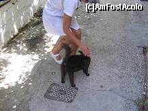 [P08] negruta » foto by dianabzs
 - 
<span class="allrVoted glyphicon glyphicon-heart hidden" id="av159690"></span>
<a class="m-l-10 hidden" id="sv159690" onclick="voting_Foto_DelVot(,159690,3807)" role="button">șterge vot <span class="glyphicon glyphicon-remove"></span></a>
<a id="v9159690" class=" c-red"  onclick="voting_Foto_SetVot(159690)" role="button"><span class="glyphicon glyphicon-heart-empty"></span> <b>LIKE</b> = Votează poza</a> <img class="hidden"  id="f159690W9" src="/imagini/loader.gif" border="0" /><span class="AjErrMes hidden" id="e159690ErM"></span>