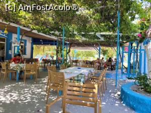 [P11] Taverna Athiri, in drum spre plaja Tsambika din Rhodos » foto by vlado2
 - 
<span class="allrVoted glyphicon glyphicon-heart hidden" id="av1518796"></span>
<a class="m-l-10 hidden" id="sv1518796" onclick="voting_Foto_DelVot(,1518796,3837)" role="button">șterge vot <span class="glyphicon glyphicon-remove"></span></a>
<a id="v91518796" class=" c-red"  onclick="voting_Foto_SetVot(1518796)" role="button"><span class="glyphicon glyphicon-heart-empty"></span> <b>LIKE</b> = Votează poza</a> <img class="hidden"  id="f1518796W9" src="/imagini/loader.gif" border="0" /><span class="AjErrMes hidden" id="e1518796ErM"></span>