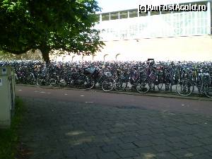 [P02] In Amsterdam se folosec foarte mult bicicletele. In imagine este o parcare pentru biciletele celor care își continuă drumul cu metroul.  » foto by Mihai18
 - 
<span class="allrVoted glyphicon glyphicon-heart hidden" id="av642624"></span>
<a class="m-l-10 hidden" id="sv642624" onclick="voting_Foto_DelVot(,642624,3845)" role="button">șterge vot <span class="glyphicon glyphicon-remove"></span></a>
<a id="v9642624" class=" c-red"  onclick="voting_Foto_SetVot(642624)" role="button"><span class="glyphicon glyphicon-heart-empty"></span> <b>LIKE</b> = Votează poza</a> <img class="hidden"  id="f642624W9" src="/imagini/loader.gif" border="0" /><span class="AjErrMes hidden" id="e642624ErM"></span>