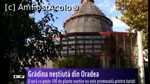 [P13] Grădina botanică a Oradiei, o seră veche ce datează din anii 70'  » foto by Marcumandru <span class="label label-default labelC_thin small">NEVOTABILĂ</span>