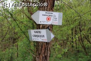 [P02] Munții Pădurea Craiului, Indicatoare la intrarea în traseu spre Peștera Vadul Crișului » foto by mprofeanu
 - 
<span class="allrVoted glyphicon glyphicon-heart hidden" id="av1066244"></span>
<a class="m-l-10 hidden" id="sv1066244" onclick="voting_Foto_DelVot(,1066244,3850)" role="button">șterge vot <span class="glyphicon glyphicon-remove"></span></a>
<a id="v91066244" class=" c-red"  onclick="voting_Foto_SetVot(1066244)" role="button"><span class="glyphicon glyphicon-heart-empty"></span> <b>LIKE</b> = Votează poza</a> <img class="hidden"  id="f1066244W9" src="/imagini/loader.gif" border="0" /><span class="AjErrMes hidden" id="e1066244ErM"></span>