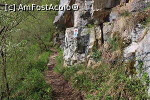 P07 [APR-2019] Munții Pădurea Craiului, Poteca spre Peștera Vadul Crișului are și lanțuri de ajutor