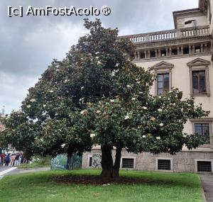 [P08] Vegetație care binedispune » foto by mnn
 - 
<span class="allrVoted glyphicon glyphicon-heart hidden" id="av1539728"></span>
<a class="m-l-10 hidden" id="sv1539728" onclick="voting_Foto_DelVot(,1539728,3925)" role="button">șterge vot <span class="glyphicon glyphicon-remove"></span></a>
<a id="v91539728" class=" c-red"  onclick="voting_Foto_SetVot(1539728)" role="button"><span class="glyphicon glyphicon-heart-empty"></span> <b>LIKE</b> = Votează poza</a> <img class="hidden"  id="f1539728W9" src="/imagini/loader.gif" border="0" /><span class="AjErrMes hidden" id="e1539728ErM"></span>