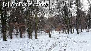 [P14] Parcul Sub Arini » foto by AZE
 - 
<span class="allrVoted glyphicon glyphicon-heart hidden" id="av1042758"></span>
<a class="m-l-10 hidden" id="sv1042758" onclick="voting_Foto_DelVot(,1042758,3936)" role="button">șterge vot <span class="glyphicon glyphicon-remove"></span></a>
<a id="v91042758" class=" c-red"  onclick="voting_Foto_SetVot(1042758)" role="button"><span class="glyphicon glyphicon-heart-empty"></span> <b>LIKE</b> = Votează poza</a> <img class="hidden"  id="f1042758W9" src="/imagini/loader.gif" border="0" /><span class="AjErrMes hidden" id="e1042758ErM"></span>