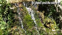 [P18] Un alt loc superb unde izvorul alunecă peste tufurile calcaroase acoperite de verdeață formând trei cascade mici.  » foto by bog68
 - 
<span class="allrVoted glyphicon glyphicon-heart hidden" id="av469238"></span>
<a class="m-l-10 hidden" id="sv469238" onclick="voting_Foto_DelVot(,469238,3939)" role="button">șterge vot <span class="glyphicon glyphicon-remove"></span></a>
<a id="v9469238" class=" c-red"  onclick="voting_Foto_SetVot(469238)" role="button"><span class="glyphicon glyphicon-heart-empty"></span> <b>LIKE</b> = Votează poza</a> <img class="hidden"  id="f469238W9" src="/imagini/loader.gif" border="0" /><span class="AjErrMes hidden" id="e469238ErM"></span>