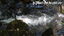 [P04]  -- <small>// FĂRĂ DESCRIERE</small> » foto by bog68
 - 
<span class="allrVoted glyphicon glyphicon-heart hidden" id="av469184"></span>
<a class="m-l-10 hidden" id="sv469184" onclick="voting_Foto_DelVot(,469184,3939)" role="button">șterge vot <span class="glyphicon glyphicon-remove"></span></a>
<a id="v9469184" class=" c-red"  onclick="voting_Foto_SetVot(469184)" role="button"><span class="glyphicon glyphicon-heart-empty"></span> <b>LIKE</b> = Votează poza</a> <img class="hidden"  id="f469184W9" src="/imagini/loader.gif" border="0" /><span class="AjErrMes hidden" id="e469184ErM"></span>