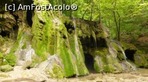 [P27] Cascada Beușnița în toată splendoarea ei » foto by iuliaen
 - 
<span class="allrVoted glyphicon glyphicon-heart hidden" id="av845769"></span>
<a class="m-l-10 hidden" id="sv845769" onclick="voting_Foto_DelVot(,845769,3939)" role="button">șterge vot <span class="glyphicon glyphicon-remove"></span></a>
<a id="v9845769" class=" c-red"  onclick="voting_Foto_SetVot(845769)" role="button"><span class="glyphicon glyphicon-heart-empty"></span> <b>LIKE</b> = Votează poza</a> <img class="hidden"  id="f845769W9" src="/imagini/loader.gif" border="0" /><span class="AjErrMes hidden" id="e845769ErM"></span>