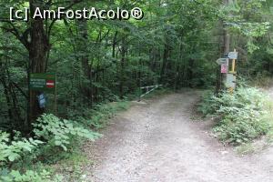 [P02] Parcul Național Cheile Nerei-Beușnița, Poiana Logor, Drumul forestier Cheile Nerei, începe traseul ce duce la Lacul Dracului prin Ogașul Porcului » foto by mprofeanu
 - 
<span class="allrVoted glyphicon glyphicon-heart hidden" id="av1186883"></span>
<a class="m-l-10 hidden" id="sv1186883" onclick="voting_Foto_DelVot(,1186883,3939)" role="button">șterge vot <span class="glyphicon glyphicon-remove"></span></a>
<a id="v91186883" class=" c-red"  onclick="voting_Foto_SetVot(1186883)" role="button"><span class="glyphicon glyphicon-heart-empty"></span> <b>LIKE</b> = Votează poza</a> <img class="hidden"  id="f1186883W9" src="/imagini/loader.gif" border="0" /><span class="AjErrMes hidden" id="e1186883ErM"></span>