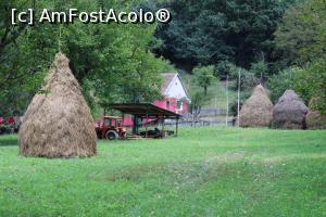 [P50] Parcul Național Cheile Nerei-Beușnița, ultima gospodărie de lângă Poiana lui Trifu, vindea miere, țuică... » foto by mprofeanu
 - 
<span class="allrVoted glyphicon glyphicon-heart hidden" id="av1186931"></span>
<a class="m-l-10 hidden" id="sv1186931" onclick="voting_Foto_DelVot(,1186931,3939)" role="button">șterge vot <span class="glyphicon glyphicon-remove"></span></a>
<a id="v91186931" class=" c-red"  onclick="voting_Foto_SetVot(1186931)" role="button"><span class="glyphicon glyphicon-heart-empty"></span> <b>LIKE</b> = Votează poza</a> <img class="hidden"  id="f1186931W9" src="/imagini/loader.gif" border="0" /><span class="AjErrMes hidden" id="e1186931ErM"></span>