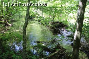 [P23] Parcul Național Cheile Nerei – Beușnița, Primul Iaz cristalin aproape de Cascada Beușnița 2 » foto by mprofeanu
 - 
<span class="allrVoted glyphicon glyphicon-heart hidden" id="av1189027"></span>
<a class="m-l-10 hidden" id="sv1189027" onclick="voting_Foto_DelVot(,1189027,3939)" role="button">șterge vot <span class="glyphicon glyphicon-remove"></span></a>
<a id="v91189027" class=" c-red"  onclick="voting_Foto_SetVot(1189027)" role="button"><span class="glyphicon glyphicon-heart-empty"></span> <b>LIKE</b> = Votează poza</a> <img class="hidden"  id="f1189027W9" src="/imagini/loader.gif" border="0" /><span class="AjErrMes hidden" id="e1189027ErM"></span>