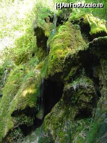 [P10] Cascada Beusnita » foto by vlado2
 - 
<span class="allrVoted glyphicon glyphicon-heart hidden" id="av477330"></span>
<a class="m-l-10 hidden" id="sv477330" onclick="voting_Foto_DelVot(,477330,3939)" role="button">șterge vot <span class="glyphicon glyphicon-remove"></span></a>
<a id="v9477330" class=" c-red"  onclick="voting_Foto_SetVot(477330)" role="button"><span class="glyphicon glyphicon-heart-empty"></span> <b>LIKE</b> = Votează poza</a> <img class="hidden"  id="f477330W9" src="/imagini/loader.gif" border="0" /><span class="AjErrMes hidden" id="e477330ErM"></span>