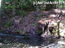 [P07] Spre Ochiul Bei si Cascada Beusnita » foto by vlado2
 - 
<span class="allrVoted glyphicon glyphicon-heart hidden" id="av477327"></span>
<a class="m-l-10 hidden" id="sv477327" onclick="voting_Foto_DelVot(,477327,3939)" role="button">șterge vot <span class="glyphicon glyphicon-remove"></span></a>
<a id="v9477327" class=" c-red"  onclick="voting_Foto_SetVot(477327)" role="button"><span class="glyphicon glyphicon-heart-empty"></span> <b>LIKE</b> = Votează poza</a> <img class="hidden"  id="f477327W9" src="/imagini/loader.gif" border="0" /><span class="AjErrMes hidden" id="e477327ErM"></span>