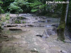 [P14] Râul Beiului-în drumul spre Cascada Beușnița » foto by costy69*
 - 
<span class="allrVoted glyphicon glyphicon-heart hidden" id="av578437"></span>
<a class="m-l-10 hidden" id="sv578437" onclick="voting_Foto_DelVot(,578437,3939)" role="button">șterge vot <span class="glyphicon glyphicon-remove"></span></a>
<a id="v9578437" class=" c-red"  onclick="voting_Foto_SetVot(578437)" role="button"><span class="glyphicon glyphicon-heart-empty"></span> <b>LIKE</b> = Votează poza</a> <img class="hidden"  id="f578437W9" src="/imagini/loader.gif" border="0" /><span class="AjErrMes hidden" id="e578437ErM"></span>