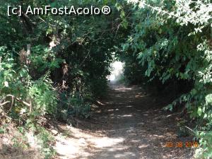 [P30] Si acelasi tunel verde :)  » foto by vega06
 - 
<span class="allrVoted glyphicon glyphicon-heart hidden" id="av731652"></span>
<a class="m-l-10 hidden" id="sv731652" onclick="voting_Foto_DelVot(,731652,3939)" role="button">șterge vot <span class="glyphicon glyphicon-remove"></span></a>
<a id="v9731652" class=" c-red"  onclick="voting_Foto_SetVot(731652)" role="button"><span class="glyphicon glyphicon-heart-empty"></span> <b>LIKE</b> = Votează poza</a> <img class="hidden"  id="f731652W9" src="/imagini/loader.gif" border="0" /><span class="AjErrMes hidden" id="e731652ErM"></span>