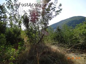 [P33] Prin Cheile Nerei in zona La Tunele. Indicatorul nu prea vizibil in boschetii aia, de unde va spuneam ca trebuie sa faceti dreapta spre tunele.  » foto by vega06
 - 
<span class="allrVoted glyphicon glyphicon-heart hidden" id="av731657"></span>
<a class="m-l-10 hidden" id="sv731657" onclick="voting_Foto_DelVot(,731657,3939)" role="button">șterge vot <span class="glyphicon glyphicon-remove"></span></a>
<a id="v9731657" class=" c-red"  onclick="voting_Foto_SetVot(731657)" role="button"><span class="glyphicon glyphicon-heart-empty"></span> <b>LIKE</b> = Votează poza</a> <img class="hidden"  id="f731657W9" src="/imagini/loader.gif" border="0" /><span class="AjErrMes hidden" id="e731657ErM"></span>
