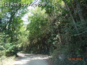 [P01] Ochiul Beu şi Cascadele Beuşniţei. De la Podul Beu facem stanga pe drumul destul de prost ce ne va scoate la pastravaria Valea Beiului.  » foto by vega06
 - 
<span class="allrVoted glyphicon glyphicon-heart hidden" id="av733770"></span>
<a class="m-l-10 hidden" id="sv733770" onclick="voting_Foto_DelVot(,733770,3939)" role="button">șterge vot <span class="glyphicon glyphicon-remove"></span></a>
<a id="v9733770" class=" c-red"  onclick="voting_Foto_SetVot(733770)" role="button"><span class="glyphicon glyphicon-heart-empty"></span> <b>LIKE</b> = Votează poza</a> <img class="hidden"  id="f733770W9" src="/imagini/loader.gif" border="0" /><span class="AjErrMes hidden" id="e733770ErM"></span>