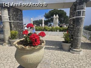 [P07] Restaurantul de pe muntele Solaro » foto by Opelantara
 - 
<span class="allrVoted glyphicon glyphicon-heart hidden" id="av1527254"></span>
<a class="m-l-10 hidden" id="sv1527254" onclick="voting_Foto_DelVot(,1527254,3976)" role="button">șterge vot <span class="glyphicon glyphicon-remove"></span></a>
<a id="v91527254" class=" c-red"  onclick="voting_Foto_SetVot(1527254)" role="button"><span class="glyphicon glyphicon-heart-empty"></span> <b>LIKE</b> = Votează poza</a> <img class="hidden"  id="f1527254W9" src="/imagini/loader.gif" border="0" /><span class="AjErrMes hidden" id="e1527254ErM"></span>