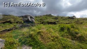 [P31] Vezuviu - sculpturi pe drumul spre vârf » foto by Dragoș_MD
 - 
<span class="allrVoted glyphicon glyphicon-heart hidden" id="av1485796"></span>
<a class="m-l-10 hidden" id="sv1485796" onclick="voting_Foto_DelVot(,1485796,3976)" role="button">șterge vot <span class="glyphicon glyphicon-remove"></span></a>
<a id="v91485796" class=" c-red"  onclick="voting_Foto_SetVot(1485796)" role="button"><span class="glyphicon glyphicon-heart-empty"></span> <b>LIKE</b> = Votează poza</a> <img class="hidden"  id="f1485796W9" src="/imagini/loader.gif" border="0" /><span class="AjErrMes hidden" id="e1485796ErM"></span>