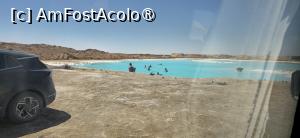 [P38] 38. Nu suntem singurii amatori de bălăceală. » foto by msnd
 - 
<span class="allrVoted glyphicon glyphicon-heart hidden" id="av1506151"></span>
<a class="m-l-10 hidden" id="sv1506151" onclick="voting_Foto_DelVot(,1506151,3997)" role="button">șterge vot <span class="glyphicon glyphicon-remove"></span></a>
<a id="v91506151" class=" c-red"  onclick="voting_Foto_SetVot(1506151)" role="button"><span class="glyphicon glyphicon-heart-empty"></span> <b>LIKE</b> = Votează poza</a> <img class="hidden"  id="f1506151W9" src="/imagini/loader.gif" border="0" /><span class="AjErrMes hidden" id="e1506151ErM"></span>