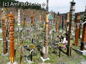 [P16] Detaliu din 2010 cu zona centrală a parcului cu monumente funerare ridicate desupra gropii comune. În 2010 parcul nu era așa de aglomerat ca acum și în partea centrală se văd crucile simple din crengi de lemn, amintind de crucile puse în 1949 pe câmpul de luptă lângă trupurile secuilor căzuți » foto by Lucien
 - 
<span class="allrVoted glyphicon glyphicon-heart hidden" id="av809238"></span>
<a class="m-l-10 hidden" id="sv809238" onclick="voting_Foto_DelVot(,809238,3998)" role="button">șterge vot <span class="glyphicon glyphicon-remove"></span></a>
<a id="v9809238" class=" c-red"  onclick="voting_Foto_SetVot(809238)" role="button"><span class="glyphicon glyphicon-heart-empty"></span> <b>LIKE</b> = Votează poza</a> <img class="hidden"  id="f809238W9" src="/imagini/loader.gif" border="0" /><span class="AjErrMes hidden" id="e809238ErM"></span>