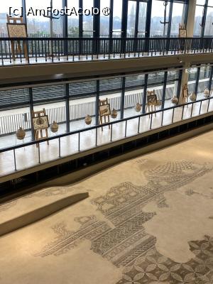 [P13] Edificiul Roman cu Mozaic, Constanța. » foto by Floria
 - 
<span class="allrVoted glyphicon glyphicon-heart hidden" id="av1523754"></span>
<a class="m-l-10 hidden" id="sv1523754" onclick="voting_Foto_DelVot(,1523754,4001)" role="button">șterge vot <span class="glyphicon glyphicon-remove"></span></a>
<a id="v91523754" class=" c-red"  onclick="voting_Foto_SetVot(1523754)" role="button"><span class="glyphicon glyphicon-heart-empty"></span> <b>LIKE</b> = Votează poza</a> <img class="hidden"  id="f1523754W9" src="/imagini/loader.gif" border="0" /><span class="AjErrMes hidden" id="e1523754ErM"></span>