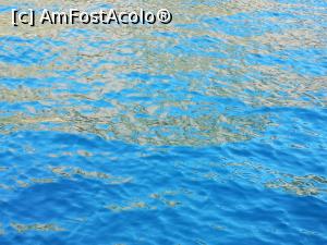 [P37] Alte culori la Frikes » foto by crismis
 - 
<span class="allrVoted glyphicon glyphicon-heart hidden" id="av1271595"></span>
<a class="m-l-10 hidden" id="sv1271595" onclick="voting_Foto_DelVot(,1271595,4061)" role="button">șterge vot <span class="glyphicon glyphicon-remove"></span></a>
<a id="v91271595" class=" c-red"  onclick="voting_Foto_SetVot(1271595)" role="button"><span class="glyphicon glyphicon-heart-empty"></span> <b>LIKE</b> = Votează poza</a> <img class="hidden"  id="f1271595W9" src="/imagini/loader.gif" border="0" /><span class="AjErrMes hidden" id="e1271595ErM"></span>