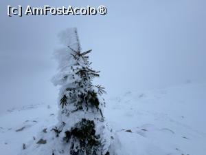 [P26] Un brăduț înghețat » foto by Mika
 - 
<span class="allrVoted glyphicon glyphicon-heart hidden" id="av1511395"></span>
<a class="m-l-10 hidden" id="sv1511395" onclick="voting_Foto_DelVot(,1511395,4076)" role="button">șterge vot <span class="glyphicon glyphicon-remove"></span></a>
<a id="v91511395" class=" c-red"  onclick="voting_Foto_SetVot(1511395)" role="button"><span class="glyphicon glyphicon-heart-empty"></span> <b>LIKE</b> = Votează poza</a> <img class="hidden"  id="f1511395W9" src="/imagini/loader.gif" border="0" /><span class="AjErrMes hidden" id="e1511395ErM"></span>