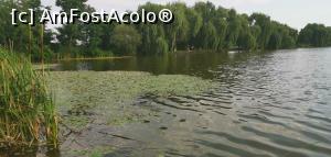 [P52] Și o ultimă oprire pe malul lacului pentru pescari, de la Păulești. » foto by Aurici
 - 
<span class="allrVoted glyphicon glyphicon-heart hidden" id="av1170821"></span>
<a class="m-l-10 hidden" id="sv1170821" onclick="voting_Foto_DelVot(,1170821,4099)" role="button">șterge vot <span class="glyphicon glyphicon-remove"></span></a>
<a id="v91170821" class=" c-red"  onclick="voting_Foto_SetVot(1170821)" role="button"><span class="glyphicon glyphicon-heart-empty"></span> <b>LIKE</b> = Votează poza</a> <img class="hidden"  id="f1170821W9" src="/imagini/loader.gif" border="0" /><span class="AjErrMes hidden" id="e1170821ErM"></span>