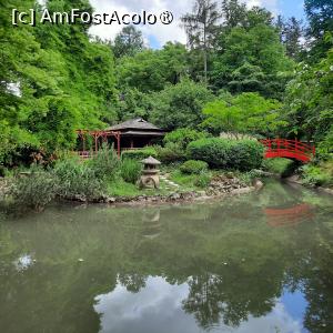 [P11] Cluj-Napoca, Grădina Botanică 'Alexandru Borza”, Grădina Japoneză, era în restaurare » foto by mprofeanu
 - 
<span class="allrVoted glyphicon glyphicon-heart hidden" id="av1434788"></span>
<a class="m-l-10 hidden" id="sv1434788" onclick="voting_Foto_DelVot(,1434788,4148)" role="button">șterge vot <span class="glyphicon glyphicon-remove"></span></a>
<a id="v91434788" class=" c-red"  onclick="voting_Foto_SetVot(1434788)" role="button"><span class="glyphicon glyphicon-heart-empty"></span> <b>LIKE</b> = Votează poza</a> <img class="hidden"  id="f1434788W9" src="/imagini/loader.gif" border="0" /><span class="AjErrMes hidden" id="e1434788ErM"></span>