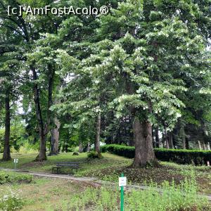 [P36] Cluj-Napoca, Grădina Botanică 'Alexandru Borza”, Sectorul Sistematic » foto by mprofeanu
 - 
<span class="allrVoted glyphicon glyphicon-heart hidden" id="av1434813"></span>
<a class="m-l-10 hidden" id="sv1434813" onclick="voting_Foto_DelVot(,1434813,4148)" role="button">șterge vot <span class="glyphicon glyphicon-remove"></span></a>
<a id="v91434813" class=" c-red"  onclick="voting_Foto_SetVot(1434813)" role="button"><span class="glyphicon glyphicon-heart-empty"></span> <b>LIKE</b> = Votează poza</a> <img class="hidden"  id="f1434813W9" src="/imagini/loader.gif" border="0" /><span class="AjErrMes hidden" id="e1434813ErM"></span>