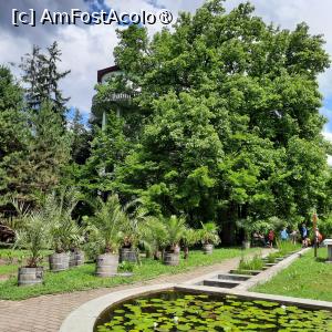 [P40] Cluj-Napoca, Grădina Botanică 'Alexandru Borza”, Sectorul Sistematic și Turnul de Apă » foto by mprofeanu
 - 
<span class="allrVoted glyphicon glyphicon-heart hidden" id="av1434817"></span>
<a class="m-l-10 hidden" id="sv1434817" onclick="voting_Foto_DelVot(,1434817,4148)" role="button">șterge vot <span class="glyphicon glyphicon-remove"></span></a>
<a id="v91434817" class=" c-red"  onclick="voting_Foto_SetVot(1434817)" role="button"><span class="glyphicon glyphicon-heart-empty"></span> <b>LIKE</b> = Votează poza</a> <img class="hidden"  id="f1434817W9" src="/imagini/loader.gif" border="0" /><span class="AjErrMes hidden" id="e1434817ErM"></span>