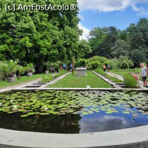 [P42] Cluj-Napoca, Grădina Botanică 'Alexandru Borza”, Sectorul Sistematic, Bazinul cu Nuferi » foto by mprofeanu
 - 
<span class="allrVoted glyphicon glyphicon-heart hidden" id="av1434819"></span>
<a class="m-l-10 hidden" id="sv1434819" onclick="voting_Foto_DelVot(,1434819,4148)" role="button">șterge vot <span class="glyphicon glyphicon-remove"></span></a>
<a id="v91434819" class=" c-red"  onclick="voting_Foto_SetVot(1434819)" role="button"><span class="glyphicon glyphicon-heart-empty"></span> <b>LIKE</b> = Votează poza</a> <img class="hidden"  id="f1434819W9" src="/imagini/loader.gif" border="0" /><span class="AjErrMes hidden" id="e1434819ErM"></span>