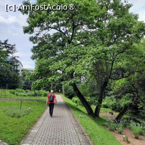 [P44] Cluj-Napoca, Grădina Botanică 'Alexandru Borza”, Sectorul Sistematic » foto by mprofeanu
 - 
<span class="allrVoted glyphicon glyphicon-heart hidden" id="av1434821"></span>
<a class="m-l-10 hidden" id="sv1434821" onclick="voting_Foto_DelVot(,1434821,4148)" role="button">șterge vot <span class="glyphicon glyphicon-remove"></span></a>
<a id="v91434821" class=" c-red"  onclick="voting_Foto_SetVot(1434821)" role="button"><span class="glyphicon glyphicon-heart-empty"></span> <b>LIKE</b> = Votează poza</a> <img class="hidden"  id="f1434821W9" src="/imagini/loader.gif" border="0" /><span class="AjErrMes hidden" id="e1434821ErM"></span>