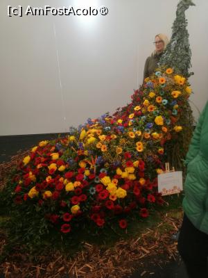 [P01] aranjament florar din cadrul Simfoniei lalelelor Pitesti 2025 » foto by Cristian_h
 - 
<span class="allrVoted glyphicon glyphicon-heart hidden" id="av1518632"></span>
<a class="m-l-10 hidden" id="sv1518632" onclick="voting_Foto_DelVot(,1518632,4219)" role="button">șterge vot <span class="glyphicon glyphicon-remove"></span></a>
<a id="v91518632" class=" c-red"  onclick="voting_Foto_SetVot(1518632)" role="button"><span class="glyphicon glyphicon-heart-empty"></span> <b>LIKE</b> = Votează poza</a> <img class="hidden"  id="f1518632W9" src="/imagini/loader.gif" border="0" /><span class="AjErrMes hidden" id="e1518632ErM"></span>