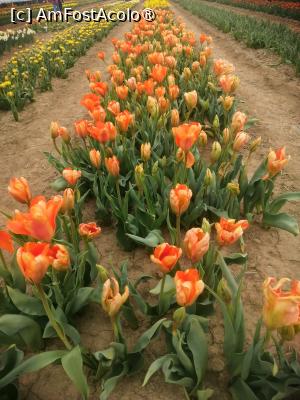 [P10]  -- <small>// FĂRĂ DESCRIERE</small> » foto by Cristian_h
 - 
<span class="allrVoted glyphicon glyphicon-heart hidden" id="av1518641"></span>
<a class="m-l-10 hidden" id="sv1518641" onclick="voting_Foto_DelVot(,1518641,4219)" role="button">șterge vot <span class="glyphicon glyphicon-remove"></span></a>
<a id="v91518641" class=" c-red"  onclick="voting_Foto_SetVot(1518641)" role="button"><span class="glyphicon glyphicon-heart-empty"></span> <b>LIKE</b> = Votează poza</a> <img class="hidden"  id="f1518641W9" src="/imagini/loader.gif" border="0" /><span class="AjErrMes hidden" id="e1518641ErM"></span>