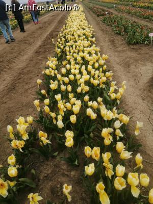 [P13]  -- <small>// FĂRĂ DESCRIERE</small> » foto by Cristian_h
 - 
<span class="allrVoted glyphicon glyphicon-heart hidden" id="av1518644"></span>
<a class="m-l-10 hidden" id="sv1518644" onclick="voting_Foto_DelVot(,1518644,4219)" role="button">șterge vot <span class="glyphicon glyphicon-remove"></span></a>
<a id="v91518644" class=" c-red"  onclick="voting_Foto_SetVot(1518644)" role="button"><span class="glyphicon glyphicon-heart-empty"></span> <b>LIKE</b> = Votează poza</a> <img class="hidden"  id="f1518644W9" src="/imagini/loader.gif" border="0" /><span class="AjErrMes hidden" id="e1518644ErM"></span>