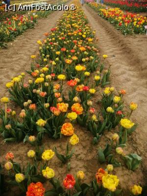 [P14]  -- <small>// FĂRĂ DESCRIERE</small> » foto by Cristian_h
 - 
<span class="allrVoted glyphicon glyphicon-heart hidden" id="av1518645"></span>
<a class="m-l-10 hidden" id="sv1518645" onclick="voting_Foto_DelVot(,1518645,4219)" role="button">șterge vot <span class="glyphicon glyphicon-remove"></span></a>
<a id="v91518645" class=" c-red"  onclick="voting_Foto_SetVot(1518645)" role="button"><span class="glyphicon glyphicon-heart-empty"></span> <b>LIKE</b> = Votează poza</a> <img class="hidden"  id="f1518645W9" src="/imagini/loader.gif" border="0" /><span class="AjErrMes hidden" id="e1518645ErM"></span>