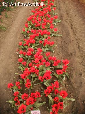 [P03]  -- <small>// FĂRĂ DESCRIERE</small> » foto by Cristian_h
 - 
<span class="allrVoted glyphicon glyphicon-heart hidden" id="av1518634"></span>
<a class="m-l-10 hidden" id="sv1518634" onclick="voting_Foto_DelVot(,1518634,4219)" role="button">șterge vot <span class="glyphicon glyphicon-remove"></span></a>
<a id="v91518634" class=" c-red"  onclick="voting_Foto_SetVot(1518634)" role="button"><span class="glyphicon glyphicon-heart-empty"></span> <b>LIKE</b> = Votează poza</a> <img class="hidden"  id="f1518634W9" src="/imagini/loader.gif" border="0" /><span class="AjErrMes hidden" id="e1518634ErM"></span>